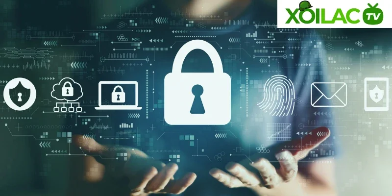 Mục đích sử dụng thông tin người dùng cung cấp