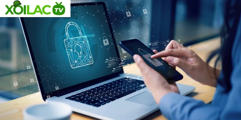 Quyền lợi của người dùng