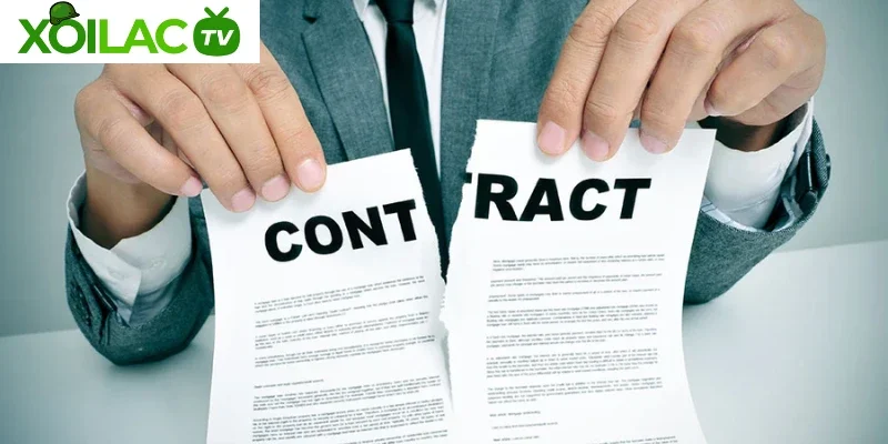 Trách nhiệm của người dùng đối với Xôi Lạc TV