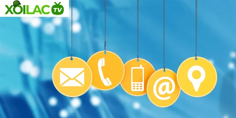 Xôi lạc TV không sẽ không phản hồi các trường hợp