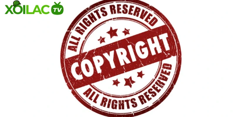 Quyết định về việc tranh chấp trong bản quyền