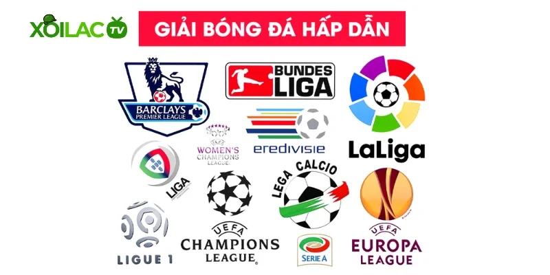 Các giải đấu Xoilac phát sóng trực tiếp hàng ngày