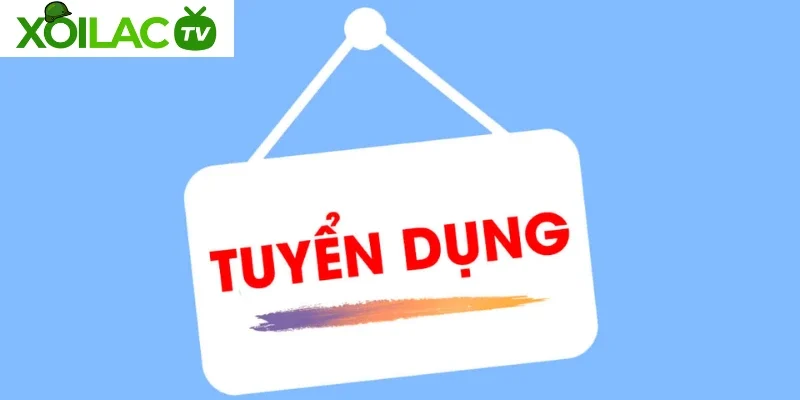 Chính sách đãi ngộ hấp dẫn