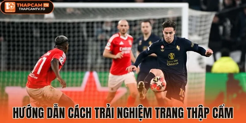 Hướng dẫn cách trải nghiệm trang thập cẩm