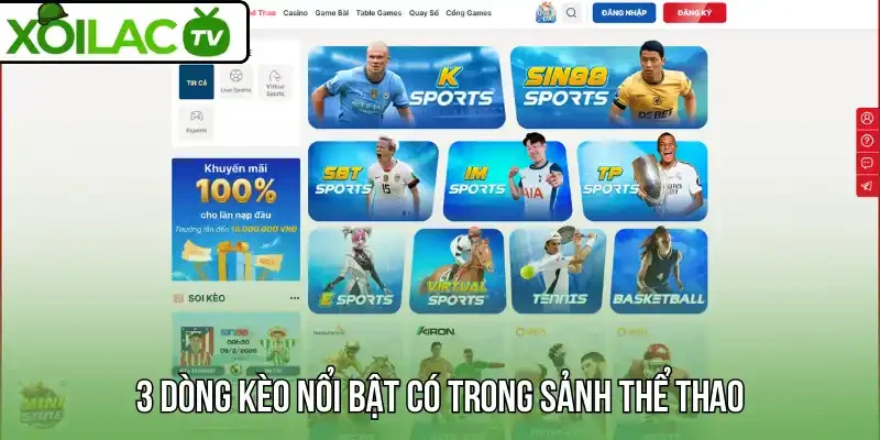 3 dòng kèo nổi bật có trong sảnh thể thao