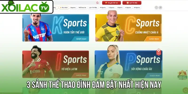 3 Sảnh thể thao đình đám bật nhất hiện nay