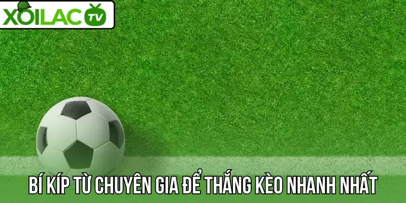 Bí kíp từ chuyên gia để thắng kèo nhanh nhất 