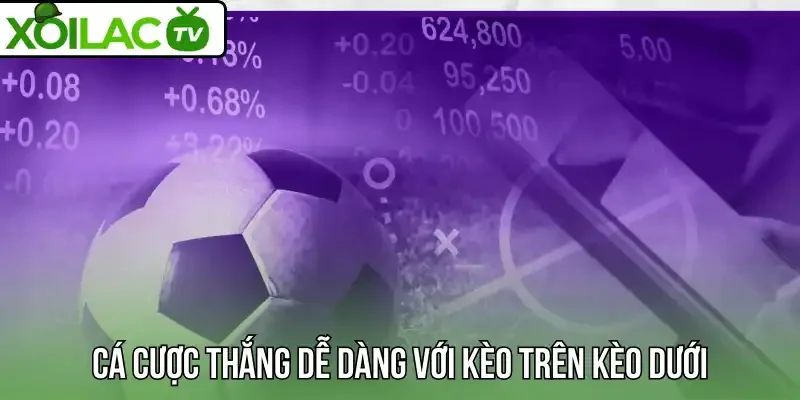 Cá cược thắng dễ dàng với kèo trên kèo dưới