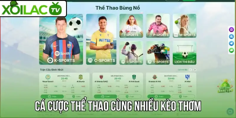 Cá cược thể thao cùng nhiều kèo thơm