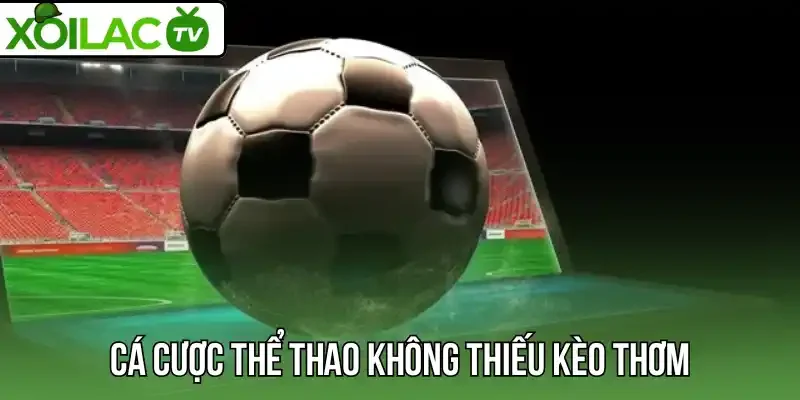 Cá cược thể thao không thiếu kèo thơm