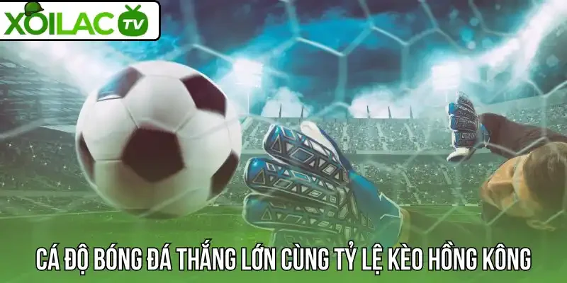 Cá độ bóng đá thắng lớn cùng tỷ lệ kèo Hồng Kông