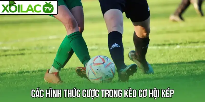 Khám phá các hình thức cược trong kèo cơ hội kép