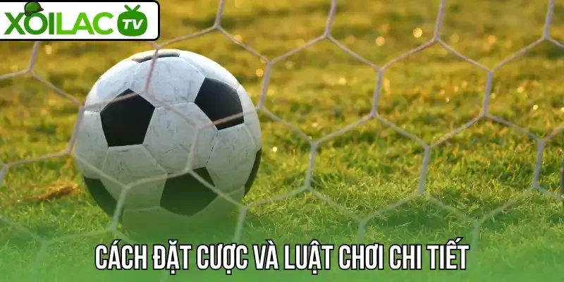 Cách đặt cược và luật chơi kèo chi tiết