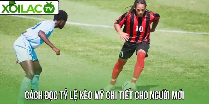 Cách đọc tỷ lệ kèo Mỹ chi tiết cho người mới