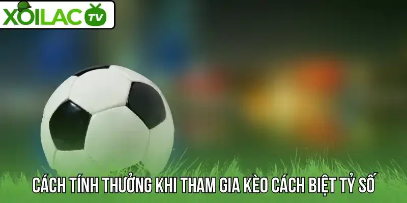 Cách tính thưởng khi tham gia kèo cách biệt tỷ số