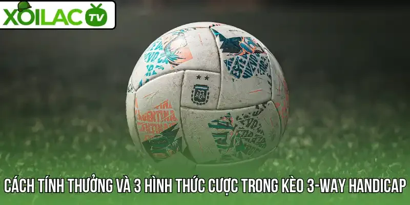Cách tính thưởng và 3 hình thức cược trong kèo 3-Way handicap
