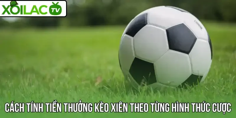 Cách tính tiền thưởng kèo xiên theo từng hình thức cược