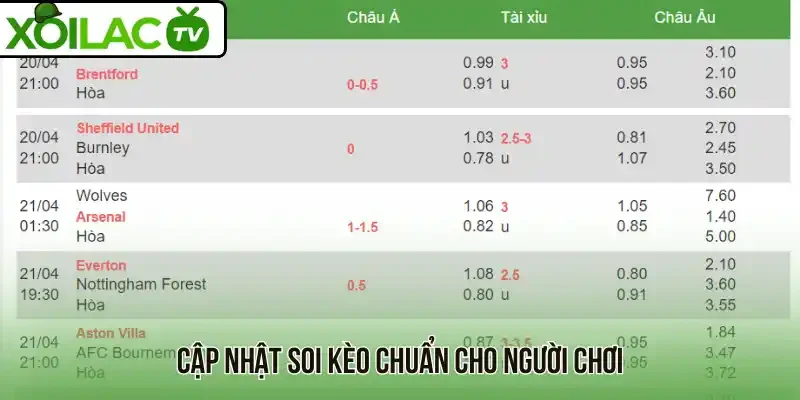 Cập nhật soi kèo chuẩn cho người chơi