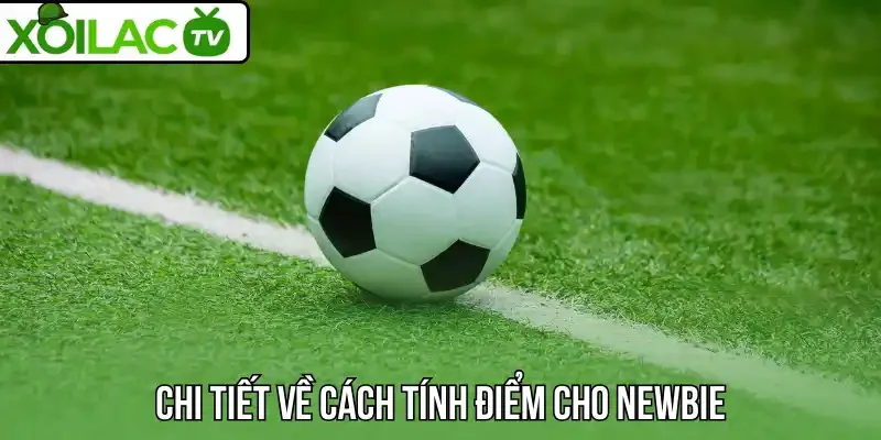 Chi tiết về cách tính điểm cho newbie