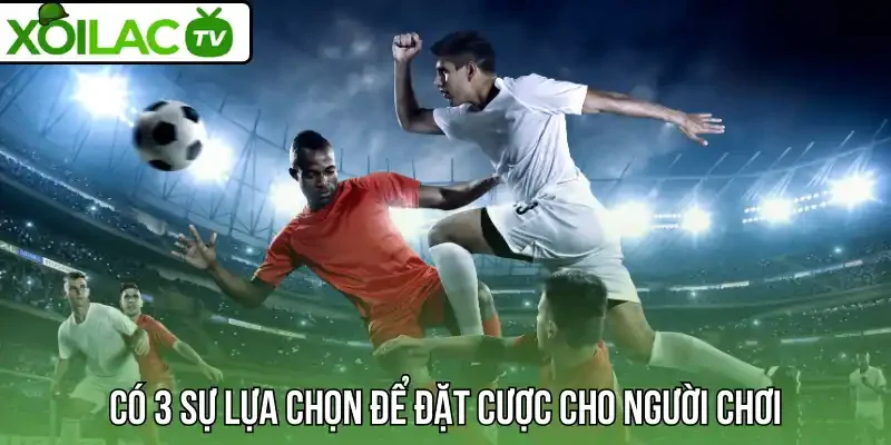 Có 3 sự lựa chọn để đặt cược cho người chơi