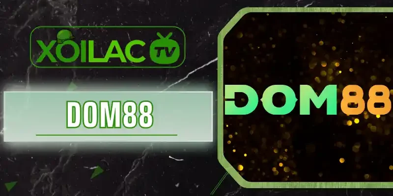 Giải trí bền vững cùng khuyến mãi hấp dẫn