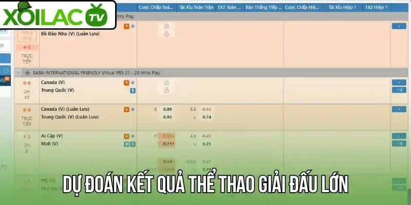 Dự đoán kết quả thể thao giải đấu lớn