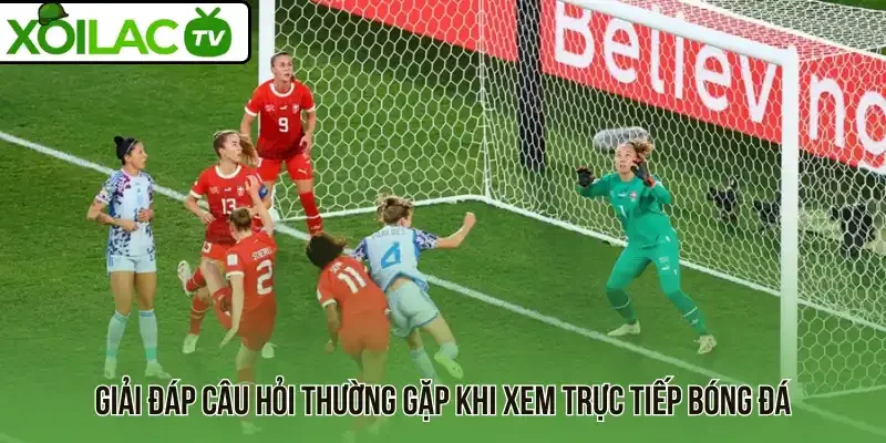 Câu hỏi thường gặp khi xem bóng đá trực tiếp trên web