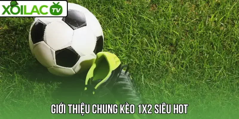 Giới thiệu chung kèo 1X2 siêu hot