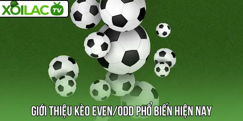 Giới thiệu kèo even/odd phổ biến hiện nay