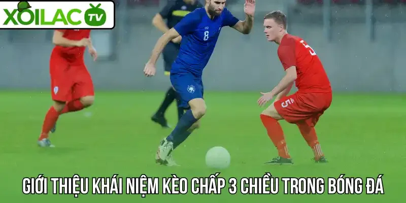 Giới thiệu khái niệm Kèo chấp 3 chiều trong bóng đá