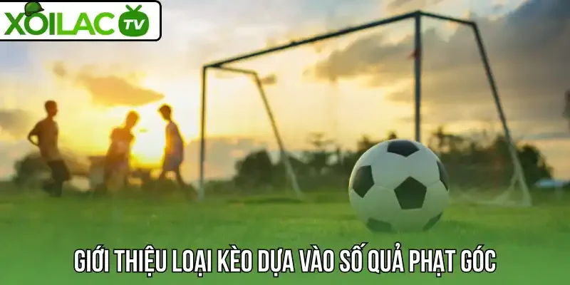 Giới thiệu loại kèo dựa vào số quả phạt góc