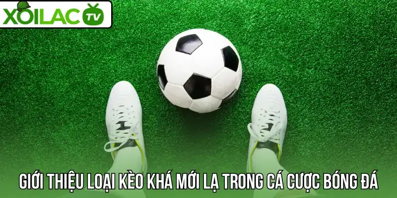 Giới thiệu loại kèo khá mới lạ trong cá cược bóng đá