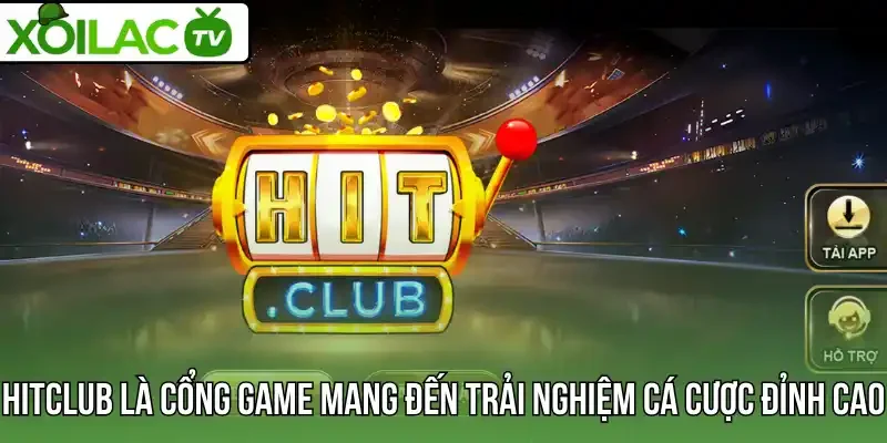 Hitclub là cổng game mang đến trải nghiệm cá cược đỉnh cao