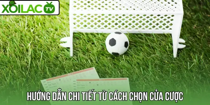 Hướng dẫn chi tiết từ cách chọn cửa cược