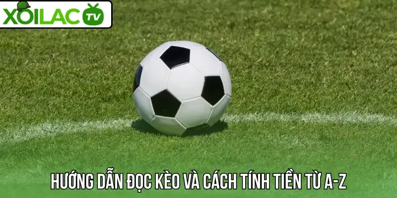 Hướng dẫn đọc kèo và cách tính tiền từ A-Z