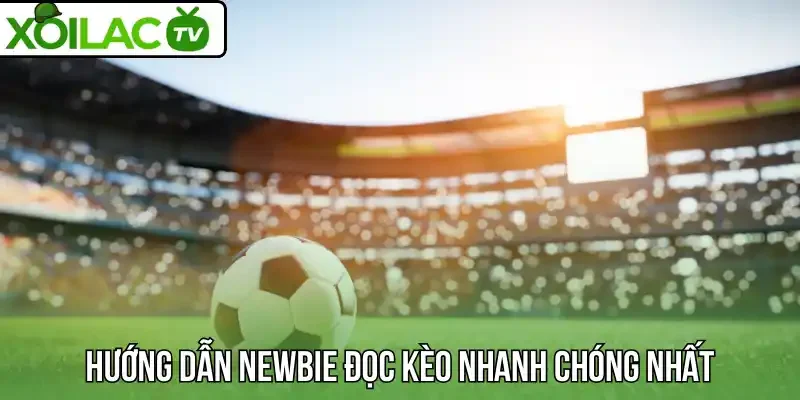 Hướng dẫn newbie đọc kèo nhanh chóng nhất