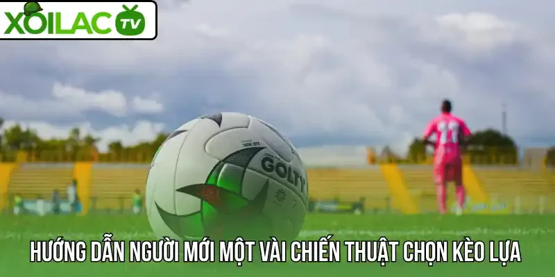 Hướng dẫn người mới một vài chiến thuật chọn kèo lựa 