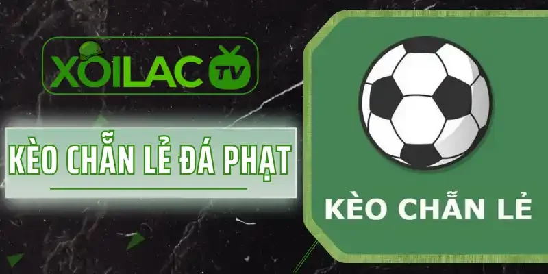 Kèo Chẵn Lẻ Đá Phạt Là Gì? Cách Chơi Đơn Giản, Dễ Thắng