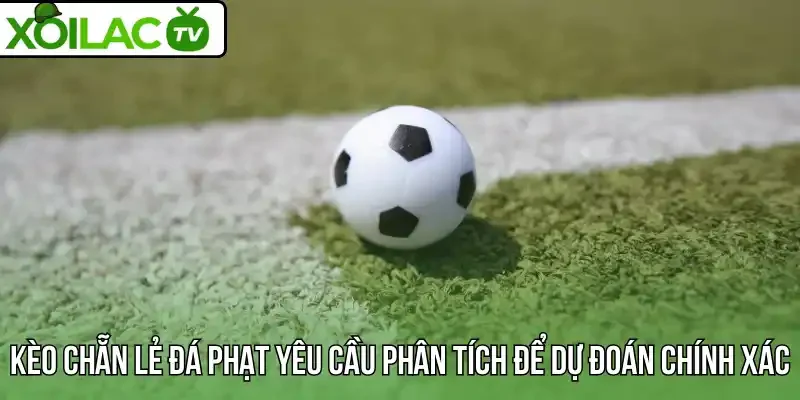 Kèo chẵn lẻ đá phạt yêu cầu phân tích để dự đoán chính xác
