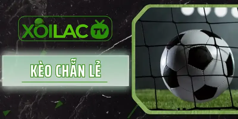 Kèo Chẵn Lẻ - 4 Loại Kèo Có Tỷ Lệ Thắng Hấp Dẫn Nhất 2026