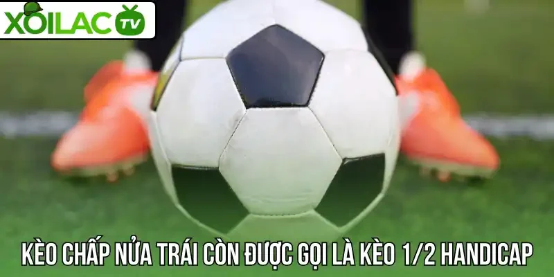 Kèo chấp nửa trái còn được gọi là kèo 1/2 Handicap