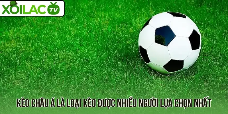 Kèo châu Á là loại kèo được nhiều người lựa chọn nhất