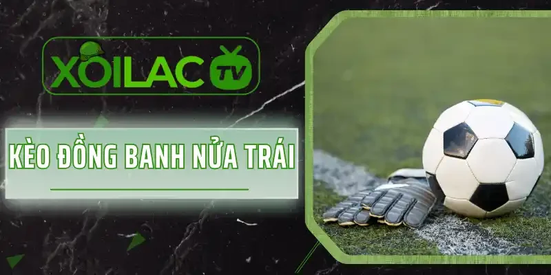 Kèo Đồng Banh Nửa Trái - Cược Nhanh Săn Odds Siêu Cao