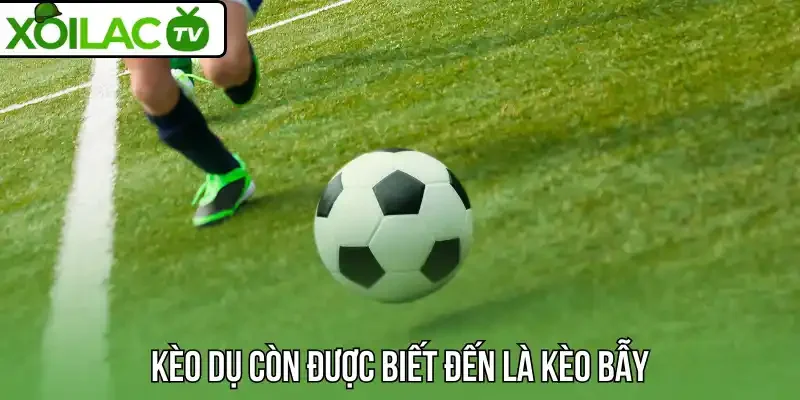 Kèo dụ còn được biết đến là kèo bẫy 