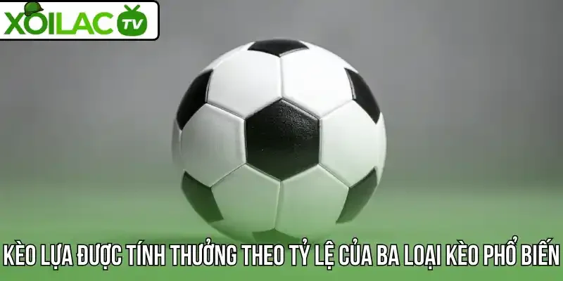 Kèo lựa được tính thưởng theo tỷ lệ của ba loại kèo phổ biến