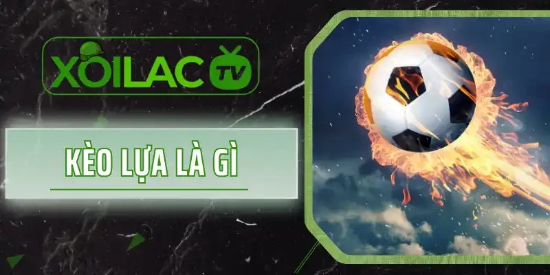 Kèo Lựa Là Gì? Cách Chọn Kèo Để Nhận Thưởng Gấp 10 Lần Cược