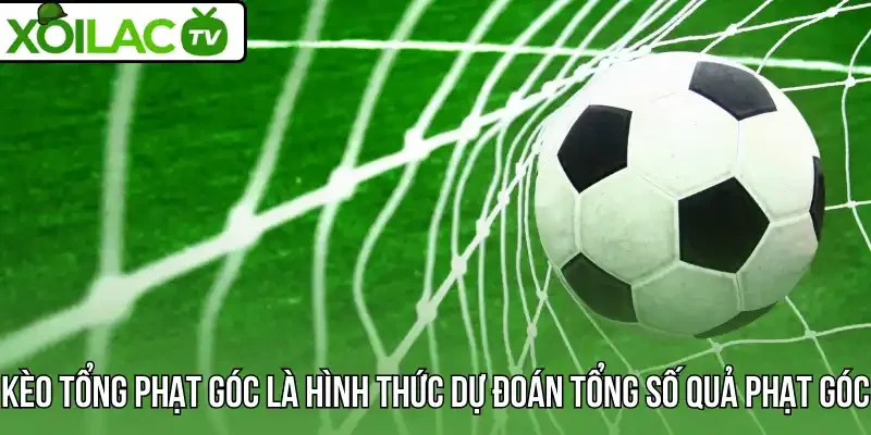 Kèo tổng phạt góc là hình thức dự đoán tổng số quả phạt góc