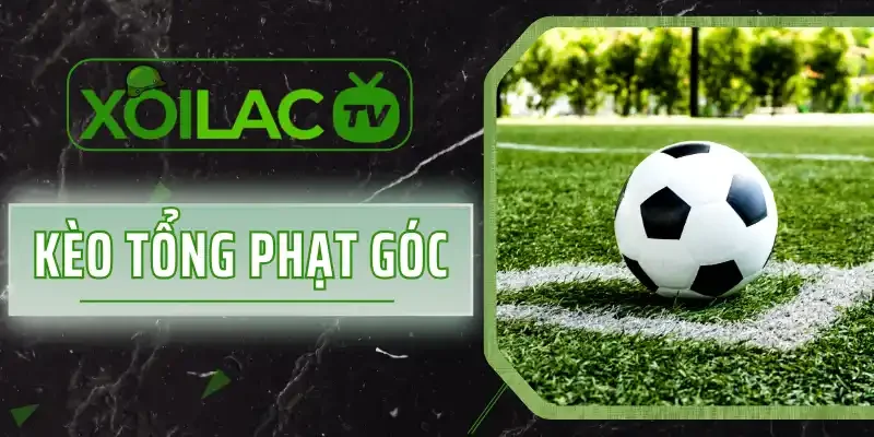 Kèo Tổng Phạt Góc - Cập Nhật Odds Hấp Dẫn Trên Trận Bóng Lớn