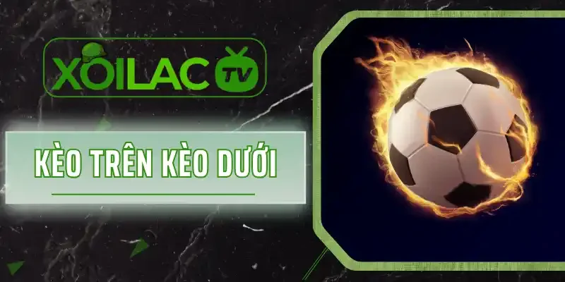 Kèo Trên Kèo Dưới - Đưa Ra Odds Siêu Cao Và Dễ Cược Thắng