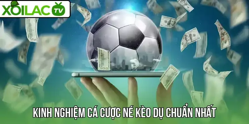 Kinh nghiệm cá cược né kèo dụ chuẩn nhất